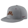 NIKE NIKE GRAY MINNESOTA GOLDEN GOPHERS USA SIDE PATCH TRUE AEROBILL PERFORMANCE FITTED HAT