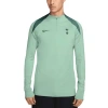 Nike Tottenham Hotspur Strike Third  Men's Dri-fit Soccer Drill Top In Green