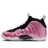 Nike (gs)  Air Foamposite One In Multi