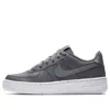 Nike (gs)  Air Force 1 Low 'gunsmoke' In Gray