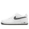 Nike (gs)  Air Force 1 Low 'white Iron Grey Swoosh'