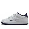 Nike (gs)  Air Force 1 Lv8 'photon Dust Obsidian'