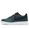 Nike (gs)  Air Force 1 Lv8 Shift 'aurora Green'