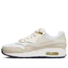 Nike (gs)  Air Max 1 'white Bronzine'