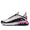 Nike (gs)  Air Max 2090 'white Light Arctic Pink'