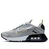 Nike (gs)  Air Max 2090 'wolf Grey' In Gray