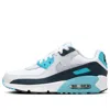 Nike (gs)  Air Max 90 'baltic Blue' In White