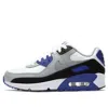 Nike Air Max 90 'hyper Royal' In Multi