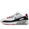 Nike (gs)  Air Max 90 Leather 'photon Dust Grey' In Multi