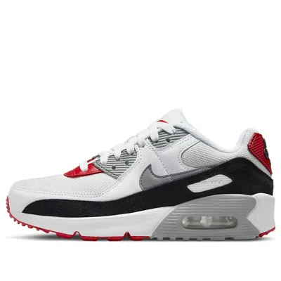 Nike (gs)  Air Max 90 Leather 'photon Dust Grey' In Multi