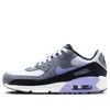 Nike (gs)  Air Max 90 Ltr 'light Thistle' In Multi