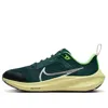 Nike (gs)  Air Zoom Pegasus 40 Gs 'deep Jungle' In Multi