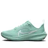 Nike (gs)  Air Zoom Pegasus 40 'mint Green'