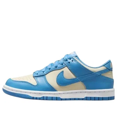 Nike (gs)  Dunk Low 'blue Beyond Beach' In Multi
