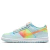 Nike (gs)  Dunk Low 'heat Map'