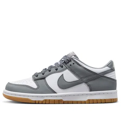 Nike (gs)  Dunk Low 'reflective Grey'
