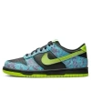 Nike (gs)  Dunk Low Se 'let's Dance' In Blue
