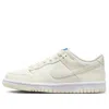 Nike (gs)  Dunk Low Se 'sail Croc'