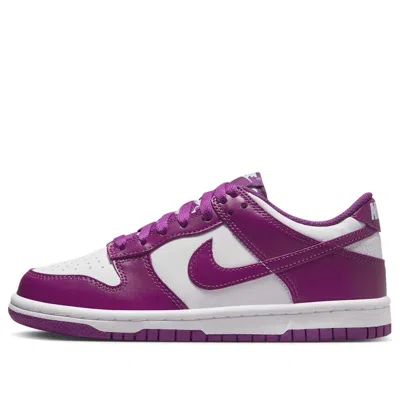 Nike (gs)  Dunk Low 'viotech'