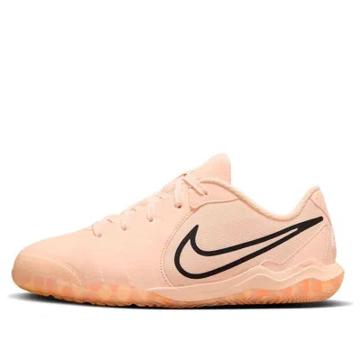Nike (gs)  Jr Legend Academy Ic 'guava Ice Black' In Multi