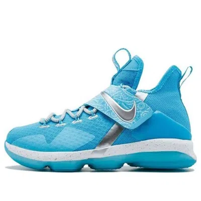 Nike (gs)  Lebron 14 'the Nature Boy'