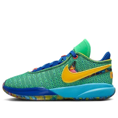 Nike (gs)  Lebron 20 Se 'kaleidoscope' In Multi