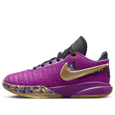 Nike (gs)  Lebron 20 'young Heirs' In Purple
