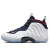 Nike (gs)  Little Posite One 'olympics'