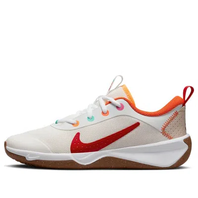 Nike (gs)  Omni Multi-court 'sail Multi-color'