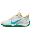 Nike (gs)  Omni Multi-court 'spring Colors'