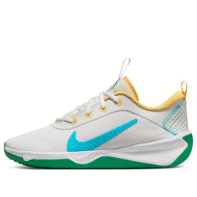 Nike (gs)  Omni Multi-court 'spring Colors'
