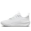Nike (gs)  Omni Multicourt 'white Pure Platinum'