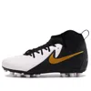 Nike (gs)  Phantom Luna 2 Academy Ag 'mad Ready Pack'