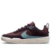 Nike (gs)  Sb Day One 'burgundy Ash Denim Turquoise' In Multi