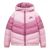 Nike (gs)  Sportswear Synthetic Fill Hooded Jacket 'pink'