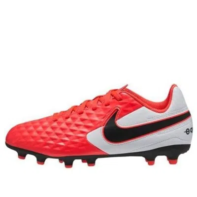 Nike (gs)  Tiempo Legend 8 Academy Fg/mg In Animal Print