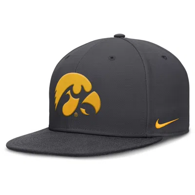 Nike Iowa Pro  Men's Dri-fit College Fitted Hat In Grey