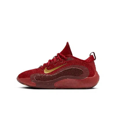 Nike Isofly Big Kids' Basketball Shoes In Red