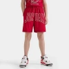 Nike Jordan Kids' Beyond The Arc Mesh Basketball Shorts In University Red/white