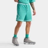 Nike Jordan Men's Sport Dri-fit Mesh Diamond Shorts In Washed Teal/white/white