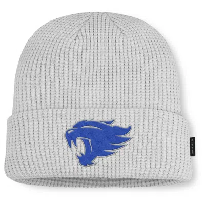 Nike Kentucky Utility Off-field  Men's College Cuffed Beanie
