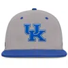 Nike Kentucky Wildcats Dugout True Menâs  Men's Dri-fit College Fitted Hat In Gray
