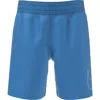 Nike Kids' 5-inch Volley Swim Trunks In Phot Blue