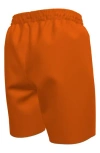 Nike Kids' 6-inch Volley Swim Trunks In Orange