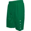 Nike Kids' 5-inch Volley Swim Trunks In Stadium Green