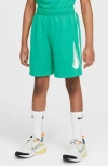 Nike Kids' Dri-fit Mesh Athletic Shorts In Multi