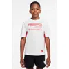 Nike Kids' Dri-fit Multi Graphic T-shirt