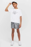 Nike Kids' Dri-fit Shorts In Smoke Grey/black/black
