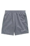 Nike Kids' Dri-fit Training Shorts In Smoke Grey/smoke Grey/white