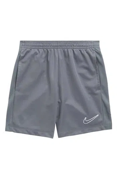 Nike Kids' Dri-fit Training Shorts In Gray